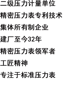 精密壓力表